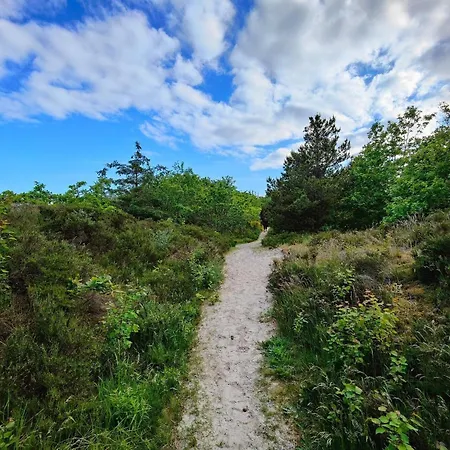 펜션 4 Star In Hals